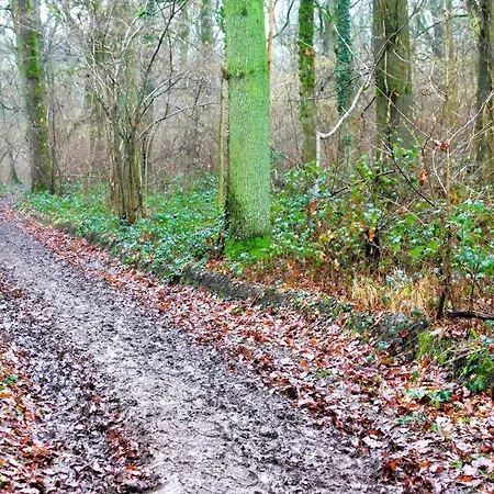 Loft Serenity Du Condroz Tinlot